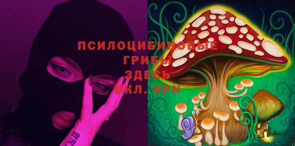 МДПВ Лиски