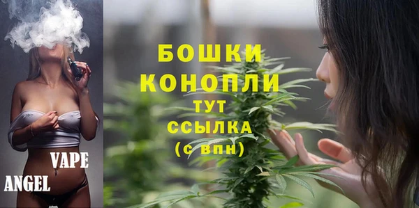 МДПВ Лиски