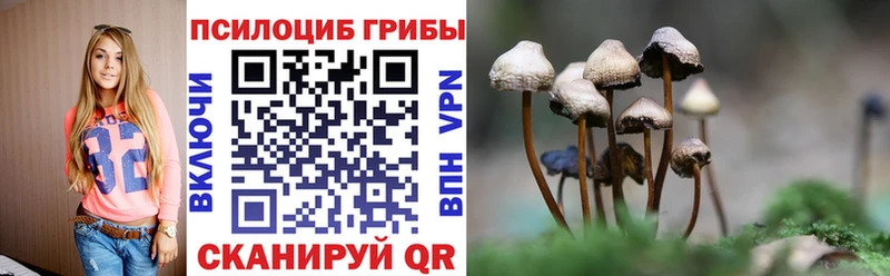 Псилоцибиновые грибы прущие грибы  хочу   Арзамас 